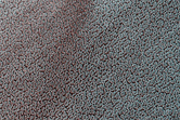 Crater in North Polar Cap