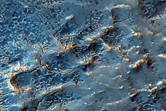 Crenulate Ridge