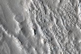 Lineated Valley Flows in Fretted Terrain