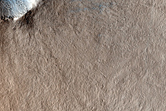 Sub-Kilometer Very Fresh Crater in Utopia Planitia