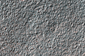 Surface Sample