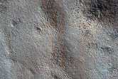 Surface Sample