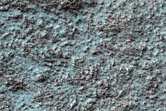 Surface Sample