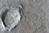 Surface Sample