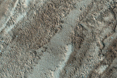 Surface Sample