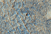 Utopia Planitia