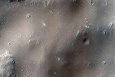 Surface Sample
