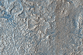 Surface Sample