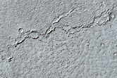 Diverse Lava Margins in Central Elysium Planitia