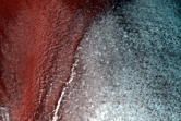 North-Facing Polar Knob Showing Contact Relationships