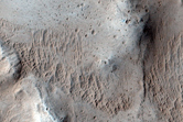West Olympus Mons