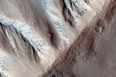 Gullies in North Mid-Latitude Crater