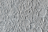 Margin of a Lava Flow in Amazonis Planitia