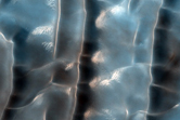 North Polar Gypsum Dunes