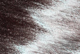 Compressional Features Near Tenuis Cavus