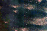 North Polar Layered Deposits and Surficial Units