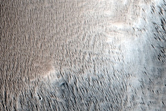 Terrain Near Amazonis Mensa and Gordii Dorsum