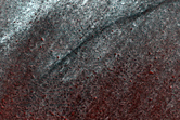 Sample Terrain at 82 Deg Latitude