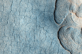 Polygon Network and Scalloped Depressions in Western Utopia Planitia