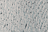 Sample of North Polar Monitoring Site