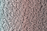 High-Latitude Exposure of North Polar Layered Deposits