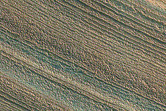 Layering in North Polar Layered Deposit Trough