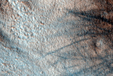 Sample of Plains Associated with Thumbprint Terrain in Arcadia Planitia