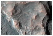Floor of Sirenum Region Crater