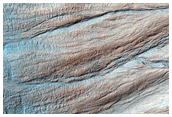 Gullies in Southern Hemisphere Crater
