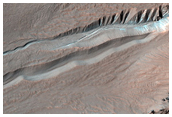 Bright Slope Deposits Associated with Gullies in Hale Crater