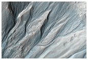 Gullies on Pole-Facing Slope and Arcuate Ridges on Crater Floor