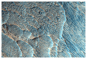 Gullies in Crater Near Hellas Planitia
