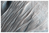 Two Types of Gullies Identified in West Half of Crater