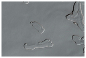 South Pole Residual Cap Monitoring and Change Detection at Site D