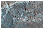 Possible MSL Landing Site Holden Crater
