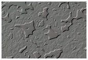 South Polar Residual Cap Monitoring