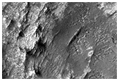 Clay-Bearing Crater Fill in Sirenum Region