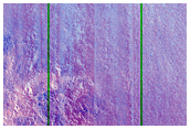 Mid-Latitude Crater Monitoring