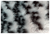 South Polar Region Cryptic Terrain