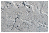 Short Dendritic Channels Near Edge of Marte Vallis