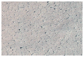 South Polar Monitoring