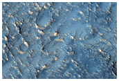 Crater Floor and Terrace in Terra Sirenum