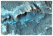 Iron and Magnesium Phyllosilicates and Possible Chlorides in the Sirenum Region