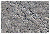 Strike-Slip Faults in Amazonis Planitia