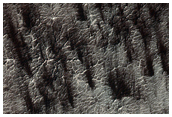 South Polar Monitoring