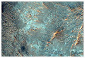 Possible Olivine-Rich Terrain