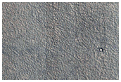 Rifted Ring and Cone Structures in Athabasca Valles