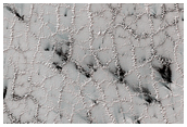 Spider Features in the South Polar Region
