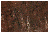 South Polar Monitoring