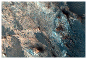 Phyllosilicate Diversity North of Mawrth Vallis